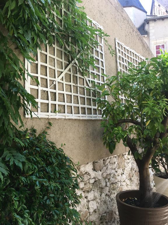 Maison Josephine Avec Garage Prive Blois Zewnętrze zdjęcie